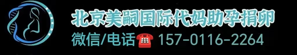 广州代怀孕产子公司